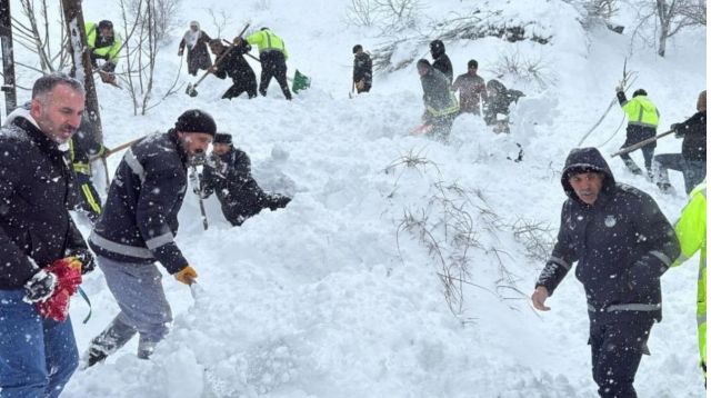 Van’ın Çatak ilçesinde iki mahalleye çığ düştü: Bir kadın çığ altında kaldı