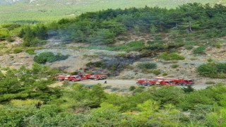 Hatay'da Orman Yakanlar Tutuklandı