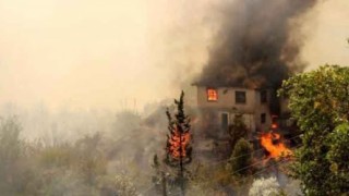 Pakdemirli: Yangında bir kişi hayatını kaybetti