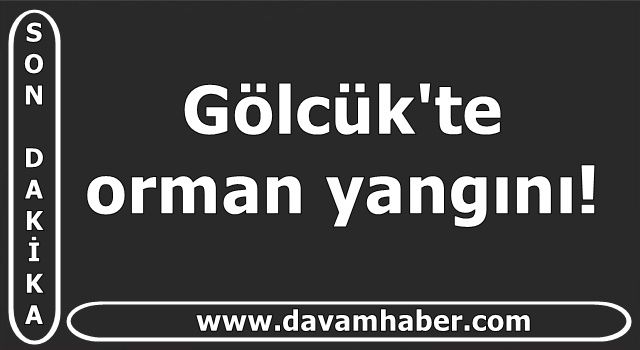 Gölcük'te orman yangını!