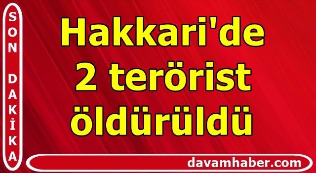Hakkari'de 2 terörist öldürüldü