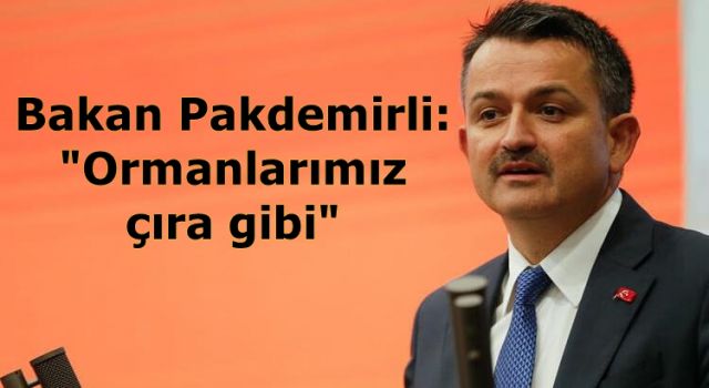 Bakan Pakdemirli: "Ormanlarımız çıra gibi"