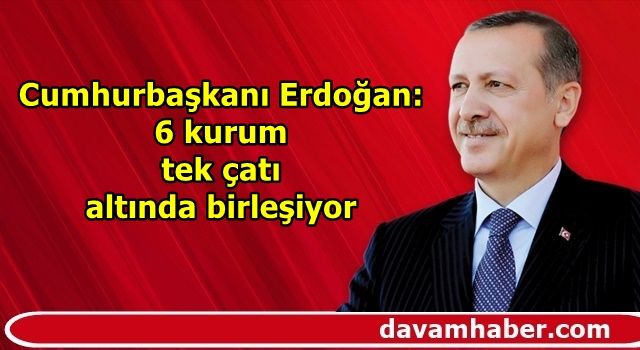 Cumhurbaşkanı Erdoğan: 6 kurum tek çatı altında birleşiyor