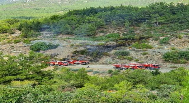 Hatay'da Orman Yakanlar Tutuklandı