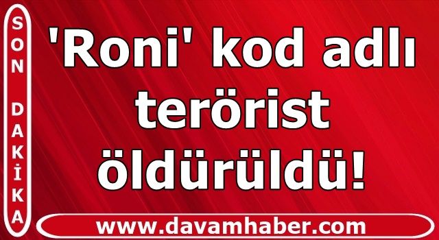 'Roni' kod adlı terörist öldürüldü!