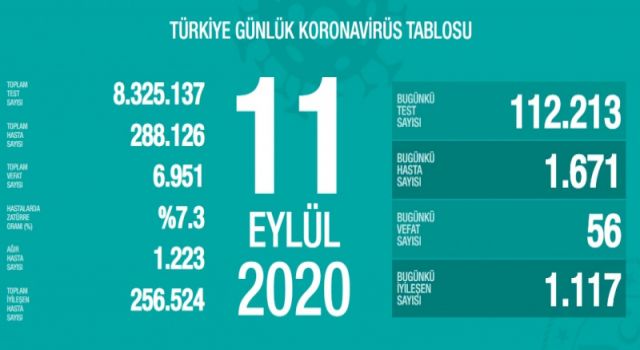 Türkiye'nin Günlük Koronavirüs Raporu Açıklandı