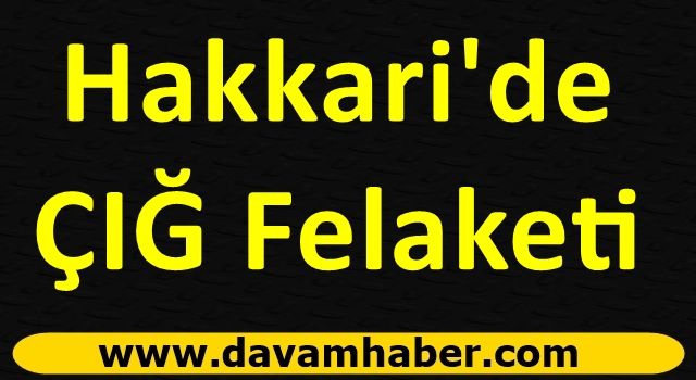 Hakkari'de Çığ Felaketi