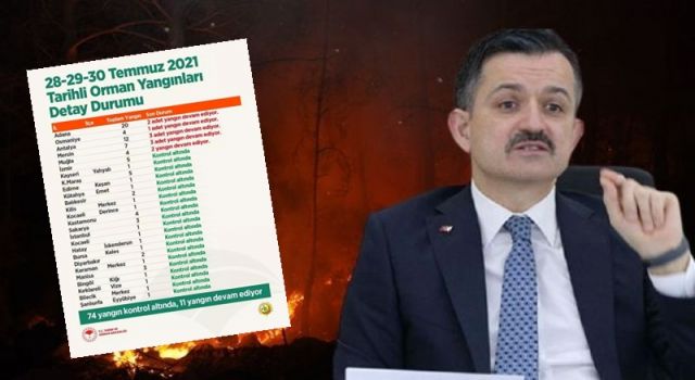 Bakan Pakdemirli yangınlarla ilgili açıklama yaptı