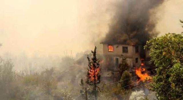 Pakdemirli: Yangında bir kişi hayatını kaybetti