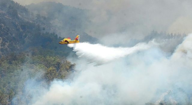 Muğla'daki yangınlarda çok sayıda tutuklama var