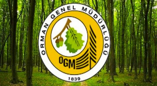 Orman Genel Müdürlüğü'nden Samsun açıklaması