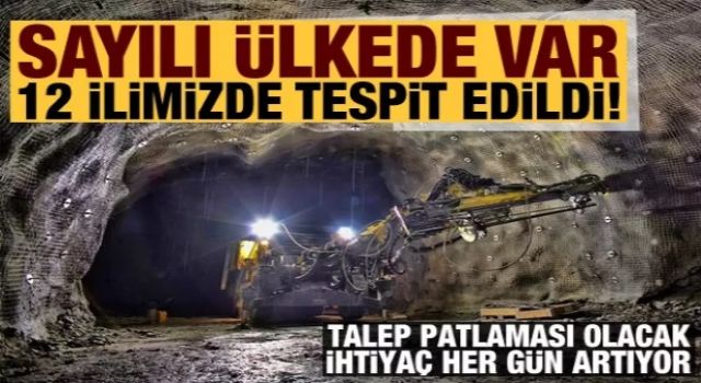 Dünyada sayılı ülkede var, 12 ilimiz de tespit edildi: Talep patlaması olacak!