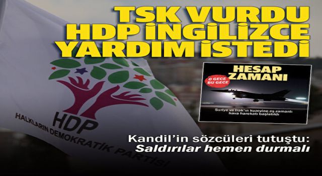 Mehmetçik PKK'yı vurdu HDP İngilizce yardım istedi: Saldırılar hemen durmalı