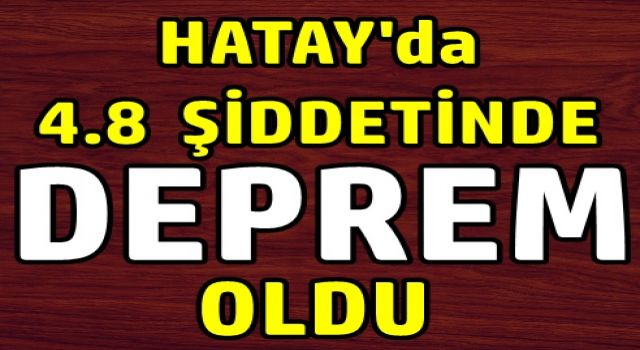 Hatay'da 4,8 şiddetinde deprem oldu