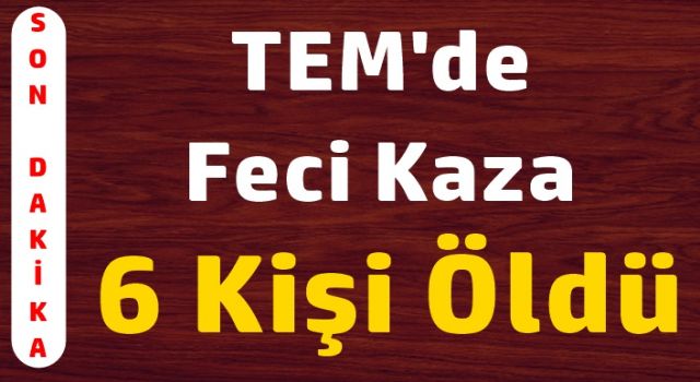 Tem'de feci kaza, 6 kişi öldü