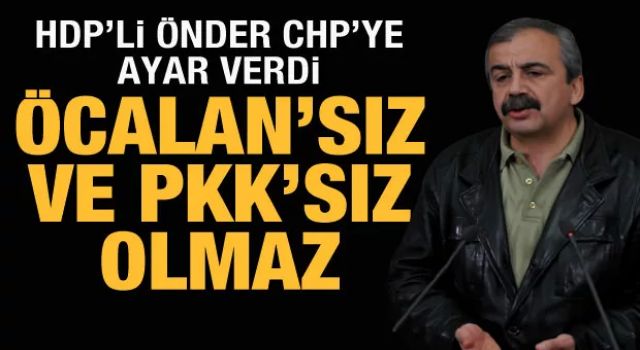 HDP'li Sırrı Süreyya Önder'den skandal sözler: Öcalan'sız ve PKK'sız olmaz