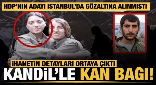 HDP'nin İstanbul'da gözaltına alınan milletvekili adayının kardeşi gri listede aranıyor