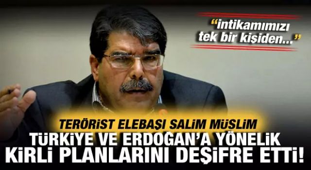 Terörist elebaşı Salim Müslim, Türkiye'ye yönelik kirli planlarını deşifre etti!