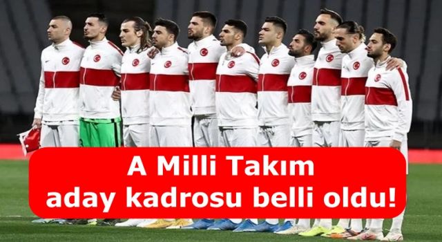 A Milli Takım aday kadrosu belli oldu!