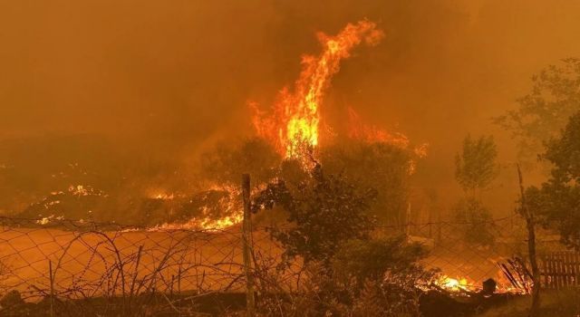 İletişim Başkanı Altun: “Çanakkale’deki orman yangını bölgesinden, 736 vatandaşımız tedbir amaçlı tahliye edilmiştir”