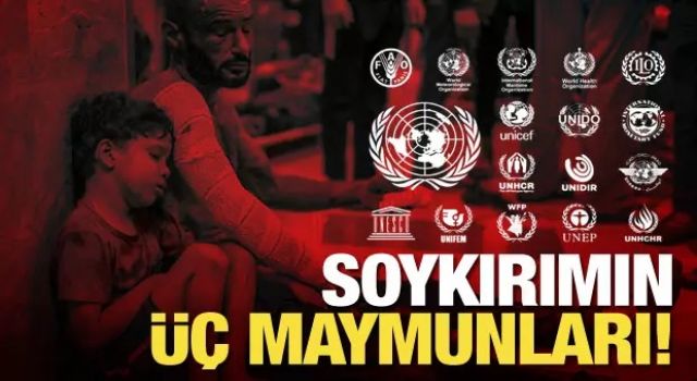 Uluslararası kuruluşlar Gazze'deki soykırıma kör! UNICEF, WHO, IEA, WFP, UNIFEM nerede?