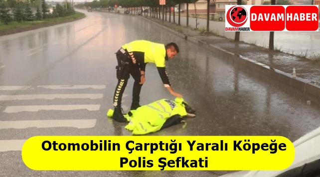 Otomobilin Çarptığı Yaralı Köpeğe Polis Şefkati