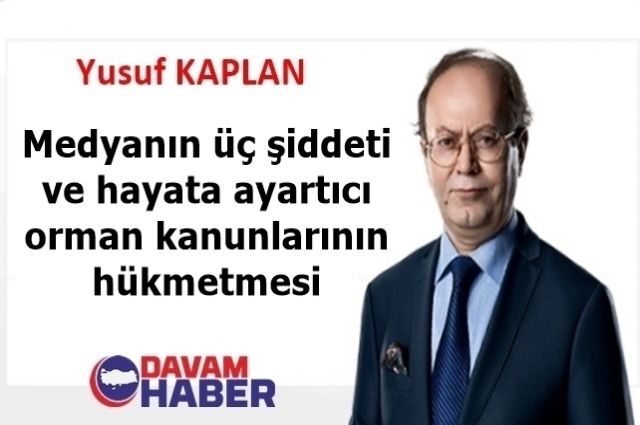 Medyanın üç şiddeti ve hayata ayartıcı orman kanunlarının hükmetmesi