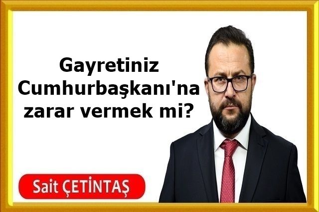 Gayretiniz Cumhurbaşkanı'na zarar vermek mi?