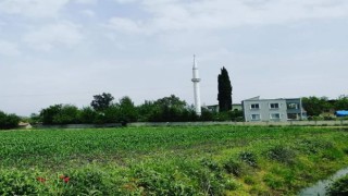 Hatay'da Bir Mahalle Karantinaya Alındı