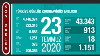 Türkiye'nin Günlük Koronavirüs Raporu Açıklandı