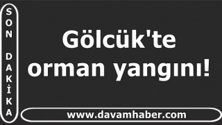 Gölcük'te orman yangını!