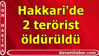 Hakkari'de 2 terörist öldürüldü