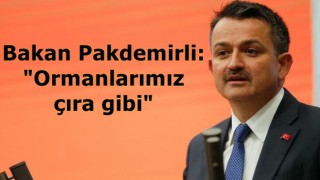 Bakan Pakdemirli: "Ormanlarımız çıra gibi"