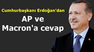 Cumhurbaşkanı Erdoğan'dan AP ve Macron'a cevap