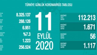 Türkiye'nin Günlük Koronavirüs Raporu Açıklandı