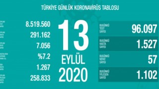 Türkiye'nin Günlük Koronavirüs Raporu Açıklandı