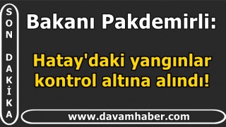 Bakanı Pakdemirli: Hatay'daki yangınlar kontrol altına alındı!