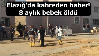 Elazığ'da kahreden haber! 8 aylık bebek öldü