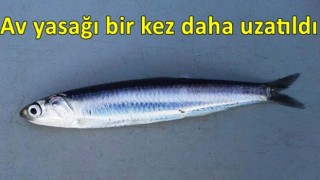 Hamside av yasağı bir kez daha uzatıldı