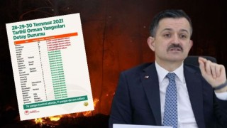 Bakan Pakdemirli yangınlarla ilgili açıklama yaptı