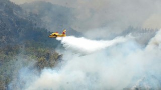 Muğla'daki yangınlarda çok sayıda tutuklama var