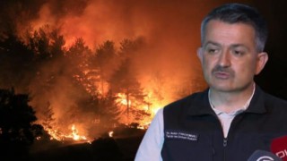 Orman Yangınlarıyla ilgili Bakan Pakdemirli'den açıklama