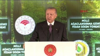 Cumhurbaşkanı Erdoğan, 81 ile 81 millet ormanı kuracağız
