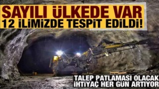 Dünyada sayılı ülkede var, 12 ilimiz de tespit edildi: Talep patlaması olacak!