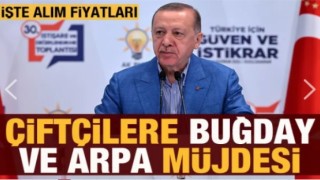 Cumhurbaşkanı Erdoğan'dan çiftçilere buğday ve arpa müjdesi