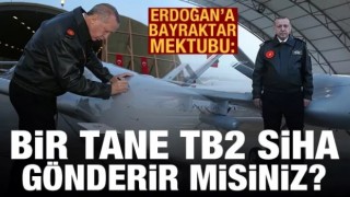 8 yaşındaki Ukraynalı kızdan Erdoğan'a Bayraktar TB2 mektubu