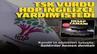 Mehmetçik PKK'yı vurdu HDP İngilizce yardım istedi: Saldırılar hemen durmalı