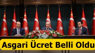 Asgari Ücret Belli Oldu