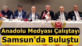 Anadolu’nun değişik bölgelerinden gelen 50 Medya Sivil Toplum Kuruluşu Başkanı gazeteci, Samsun’da Dijital Gazetecilik Bağlamında VII. Anadolu Medyası Çalıştayı’nda buluştu.