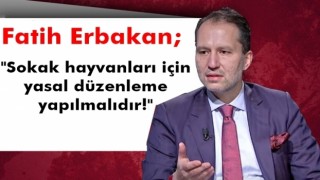 Fatih Erbakan; "Sokak hayvanları için yasal düzenleme yapılmalıdır!"